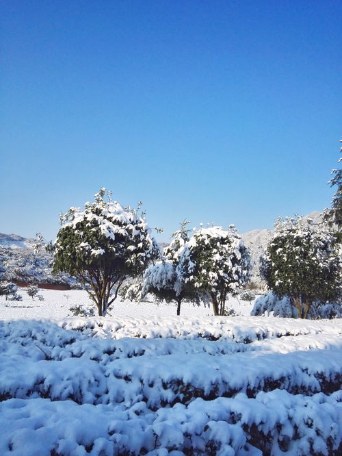 冬季旅游