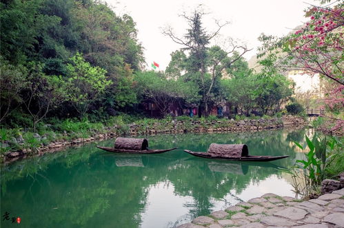 长塘桃花源生态旅游区地址