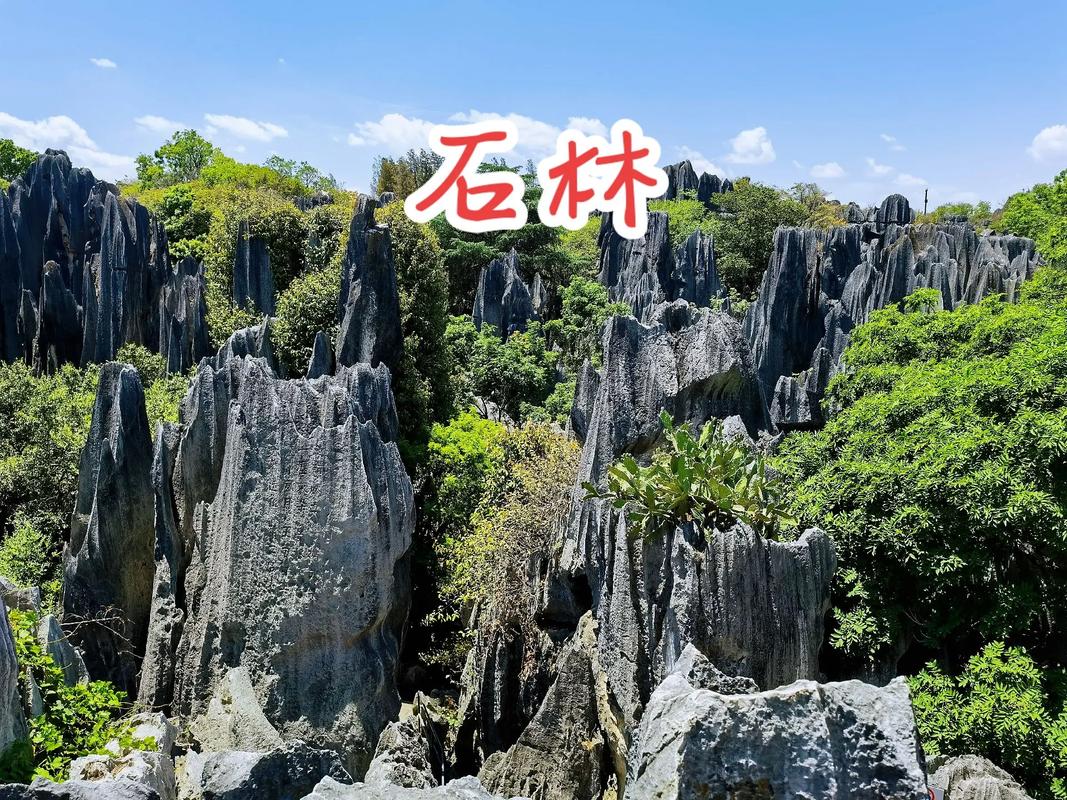 石林旅游介绍词