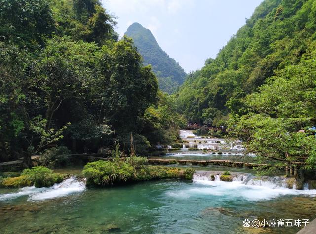 夏天去旅游