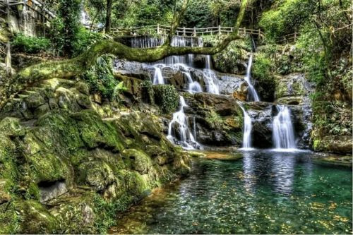 鼎湖山景区门票价格