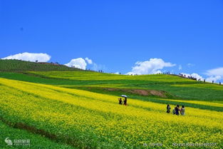 8月份去青海旅游穿衣