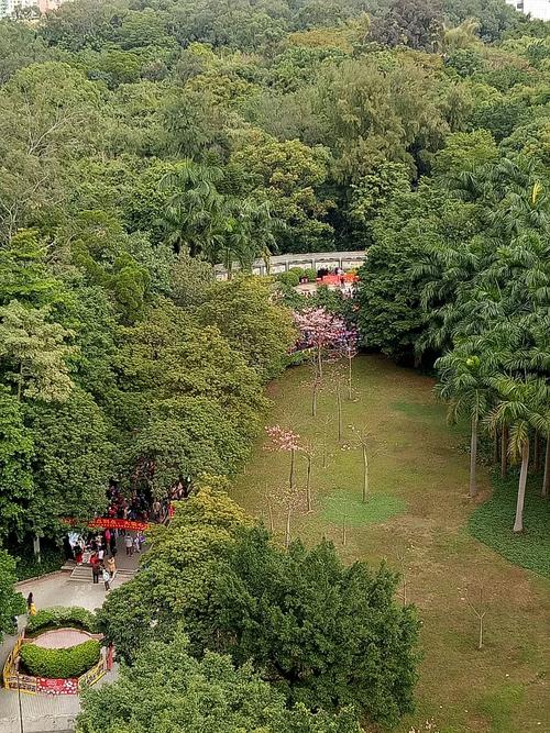 广州天河旅游景点大全