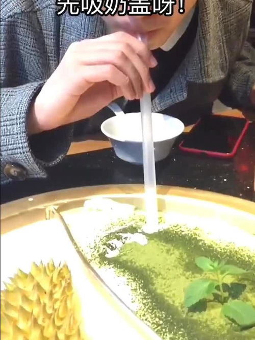 网红火锅和餐饮的区别是什么