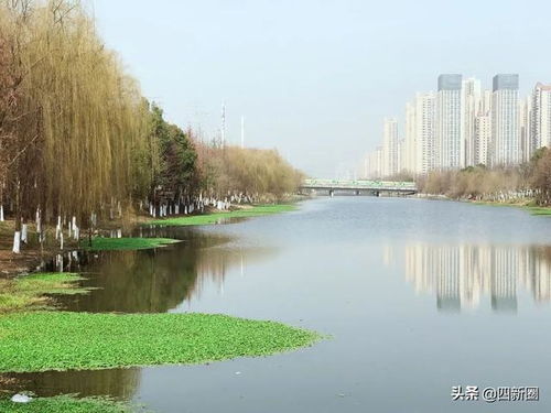 武汉垂钓野餐地点推荐