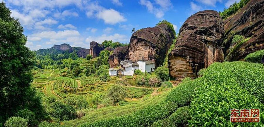 湖湘韵味湖南黑茶与品茶之旅的诗意交响