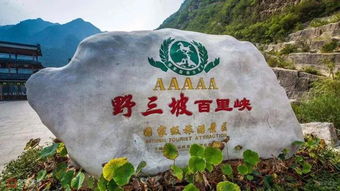 湖北旅游景点排名前十名武汉到神农架