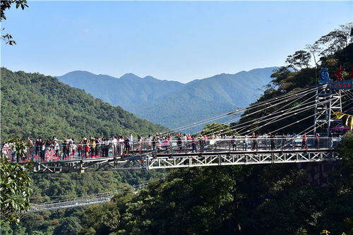 广东旅游景点自驾游惠州